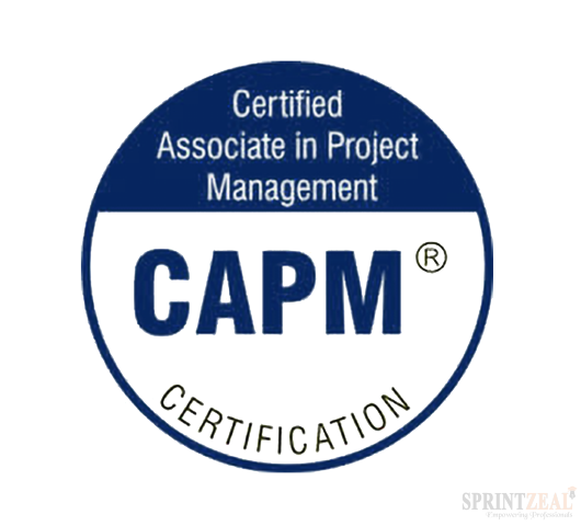 CAPM Certification Logo